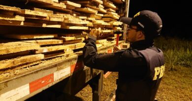 PRF apreende madeira nativa transportada ilegalmente na BR-010