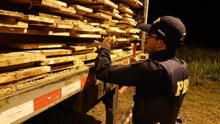 PRF apreende madeira nativa transportada ilegalmente na BR-010