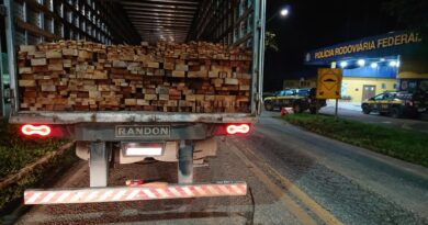 Apreendidos mais de 70m³ de madeira ilegal na região tocantina