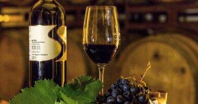 Confira os motivos que tornam a maior região portuguesa o destino de vinhos ideal para a sua próxima viagem!