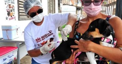 Prefeitura de São Luís promove vacinação antirrábica no João de Deus, neste sábado (9)