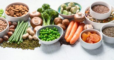 Proteínas vegetais