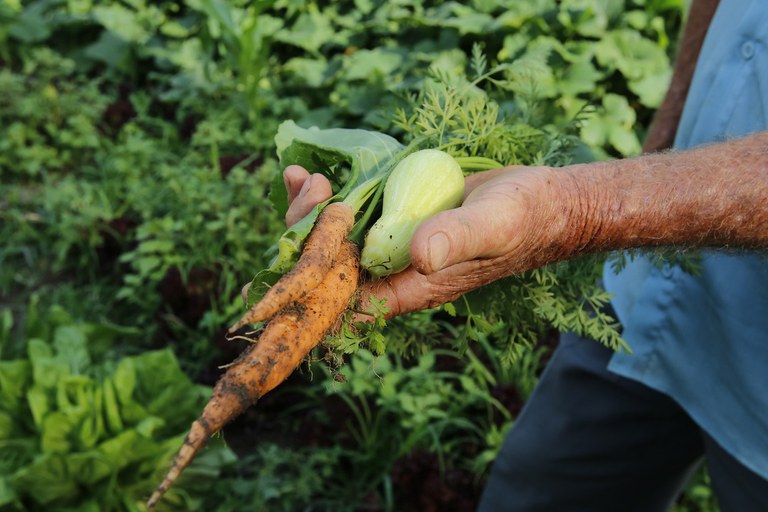 agricultores familiares
