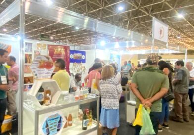 Apicultores e meliponicultores do Maranhão participam de congresso nacional sobre mel em Brasília