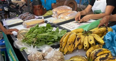Feira da Agricultura e Cidadã promove a geração de renda em Davinópolis