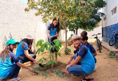 Projeto que visa à segurança alimentar e à mitigação de impacto das mudanças climáticas é lançado no Maranhão