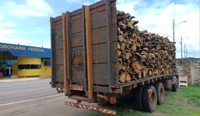 PRF flagra transporte irregular de madeira nativa e diversas infrações ambientais e de trânsito no Maranhão