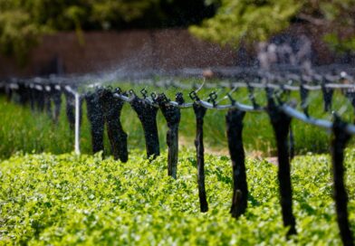 Investimento de R$ 60 milhões do BNB amplia acesso à água para agricultores maranhenses