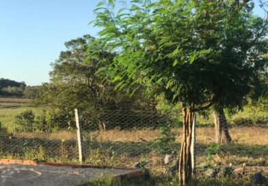 Mais segurança na zona rural: Equatorial Maranhão dá dicas que protegem a vida