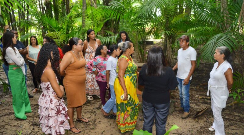 Juçara é referência para educação ambiental e geração de renda no Maracanã