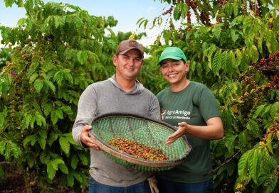 Investimento em agroecologia cresce no Maranhão 340% e supera R$ 180 milhões em 2025