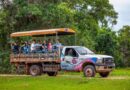 Pantanal entra na rota das férias de julho com experiência de safári no Brasil