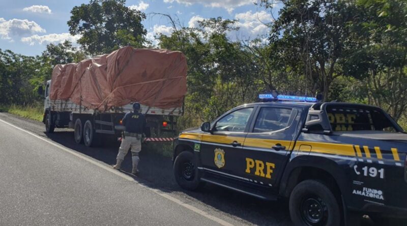 PRF apreende mais de 20 m³ de madeira nativa transportada ilegalmente na BR-316, em Caxias