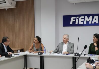FIEMA discute inovação com o Ministério da Ciência, Tecnologia e Inovação