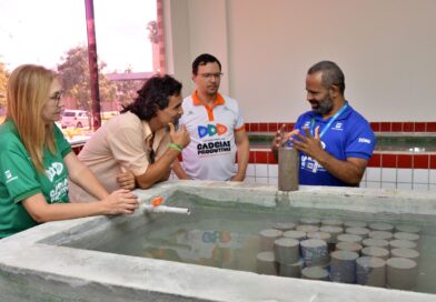 SENAI-MA desenvolve tijolo ecológico com resíduo da casca do coco verde