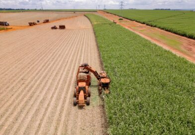 Alto Parnaíba leva palestras do produtor ao estudante no Dia Nacional do Campo Limpo