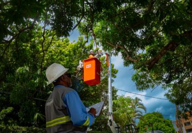 Poda de árvores exige cuidados para evitar acidentes com a rede elétrica