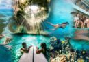 Bahamas: dos blue holes ao terceiro maior recife de corais do mundo
