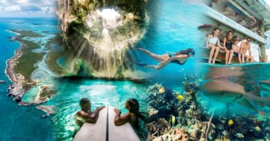 Bahamas: dos blue holes ao terceiro maior recife de corais do mundo