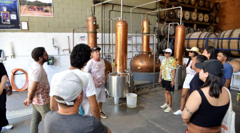 Rota apresenta produção de cachaça artesanal no Maranhão