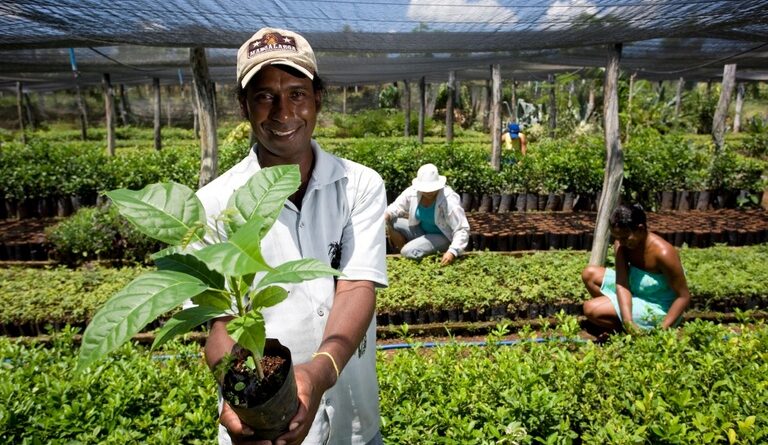 No Maranhão, órgãos públicos já contrataram mais de R$ 130 mil de microempreendedores e agricultores familiares pelo Contrata+Brasil
